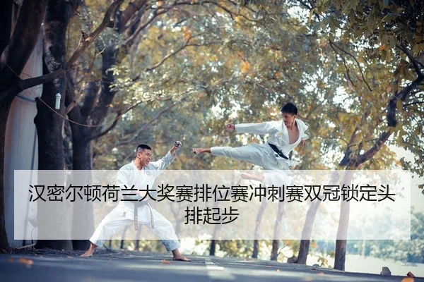 han-mi-er-dun-he-lan-da-jiang-sai-pai-wei-sai-chong-ci-sai-shuang-guan-suo-ding-tou-pai-qi-bu-2-476.jpg